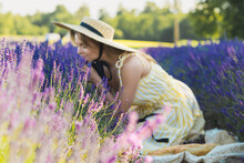 Beautiful Young Woman In A Field Full Of Lavender Flowers