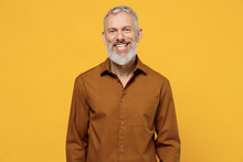 Happy Excited Magnificent Elderly Gray-haired Bearded Man 40s Years Old Wears Brown Shirt Looking Camera Smiling Isolated On Plain Yellow Background Studio Portrait. People Emotions Lifestyle Concept.