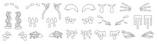 Tear Outline Vector Set Icon. Isolated Outline Set Icon Droplet Of Cry. Vector Illustration Tear On White Background.