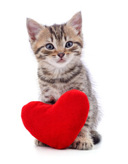 Canvas Print - Cat and red heart.