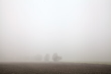 Ploughed Field With A Bare Tree In The Distance On A Foggy Day In Winter