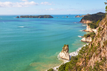 Canvas Print - New Zealand coast