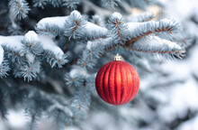 Red Christmas Ball Ornament Hanging From Snowy Evergreen Tree Branch.