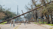 Close Up Of Power Lines And Telephone Poles Down After A Hurricane. 