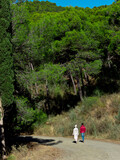 Fototapeta Las - Young couple walking in the mountain