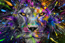 Full Colors Lion , Wildlife Animal Ink , Modern Abstract Art