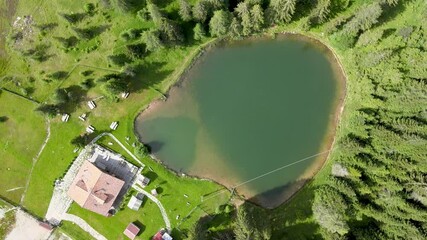 Poster - Alpin lake in summer time surrounded by beautiful forest, overhead downward aerial view