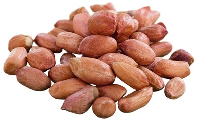 Poster - Falling peanut seed on white background