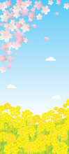 春の桜と菜の花の風景イラスト