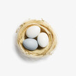 © yrabota - Easter white and grey paint eggs in straw nest Neutral color egg for spring holiday. Top view Easter minimal creative composition Happy Easter spring holiday