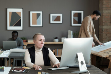 Poster - Serious mature female designer looking at computer screen while sitting by table and looking through photos for new project