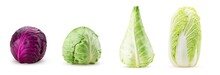 Red And Green Peking Field Pointed Cabbage