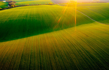 Photo Sur Toile - Bird's eye view of abstraction agricultural area and green wavy fields in sunny day.