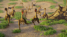 Compsognathus Longipes, Group Of Dinosaurs From The Late Jurassic Period, 3d Paleoart Rendering