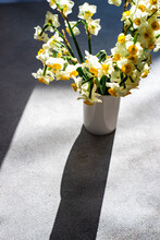 Overhead View Of A Bunch Of Narcissus Flowers On A Table In The Sunlight