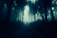 Man Walking Alone On Dark Forest Road
 At Night