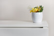 kwiat na pustym stole w białym wnętrzu - home office - tło do prezentacji produktu