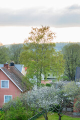 Canvas Print - House in a town with flowering fruit trees in the garden