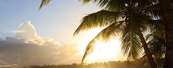 Wall Mural - clouds sky with coconut palm trees. travel background.