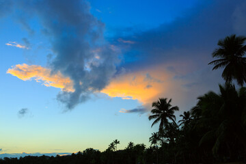 Wall Mural - clouds sky with coconut palm trees. travel background.