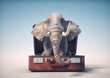 Elephant inside a opened baggage.
