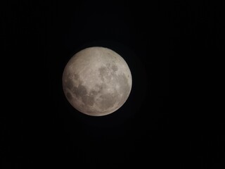 full moon in the night