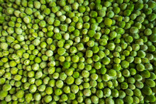 Frozen Frosty Green Peas Background Closeup