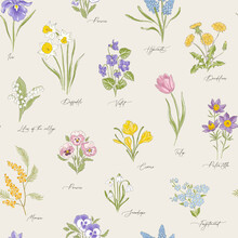 Spring Garden Variety Flowers Hand Drawn Vector Seamless Pattern. Vintage Romantic Bloom Design. Curiosity Cabinet Botanical Aesthetic Floral Print For Fabric, Scrapbook, Wrapping, Card Making