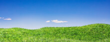 Green Grass Field Cloudy Blue Sky Background Spring Day, Banner. 3d Illustration