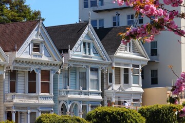 Wall Mural - Alamo Square in San Francisco