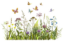 Colorful Wildflowers And Butterflies Silhouettes. Floral Spring Or Summer Field.
