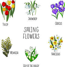 Illustration Of A Set Of Flowers