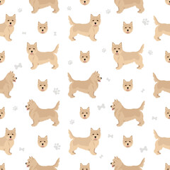  Norwich terrier seamless pattern. Different poses, coat colors set
