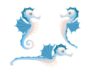 Wall Mural - Set pf cute adorable blue seahorse cartoon sea animal design flat vector illustration isolated on white background