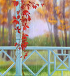 Autumn landscape with a wooden summer veranda and climbing grapes. Digital illustration