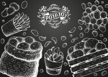 Potato Vector Illustration. Basket And Box Of Potatoes. French Fries, Rustic Potatoes And Chips Hand Drawn. Engraved Style Frame.