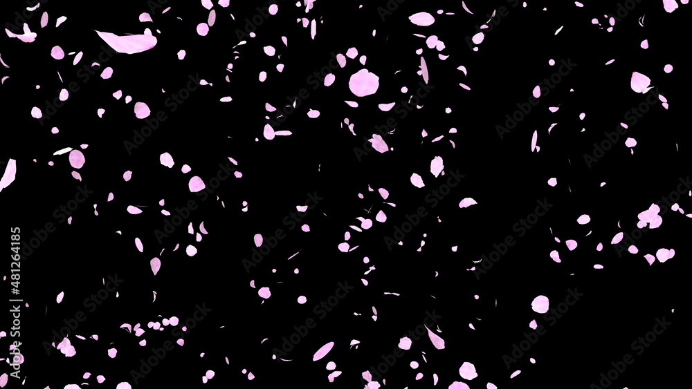 桜 桜吹雪 舞い散る ピンク 黒背景 [別Verあり] Stock Illustration