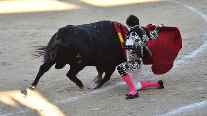 un espectaculo de toreo en una plaza de toros