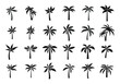 Palm icons set simple vector. Hawaii tree