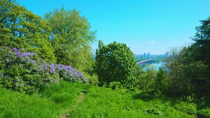 Sticker - The lush greenery of Kyiv Botanical Garden, Ukraine