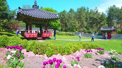 Sticker - The blooming tulips at the Pagoda of Korean Traditional Garden, Kyiv, Ukraine