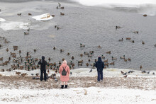 Children On The River Bank Feed Mallard Ducks And Watch Birds
