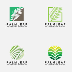 Set Tropical Palm leaf logo vector design template