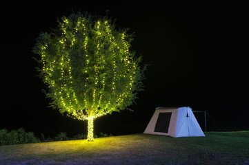 Wall Mural - beautiful tree adorn lights beside tent camping at night. there are beautiful stars in the sky. chal