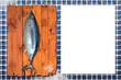 Raw whole fish, northern albacore (Thunnus alalunga) copy space.