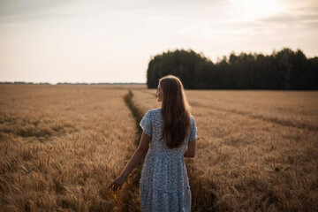 Poster - Back view of a girl having walk in the field of rye. Atmospheric autumn photo of a girl outdoors