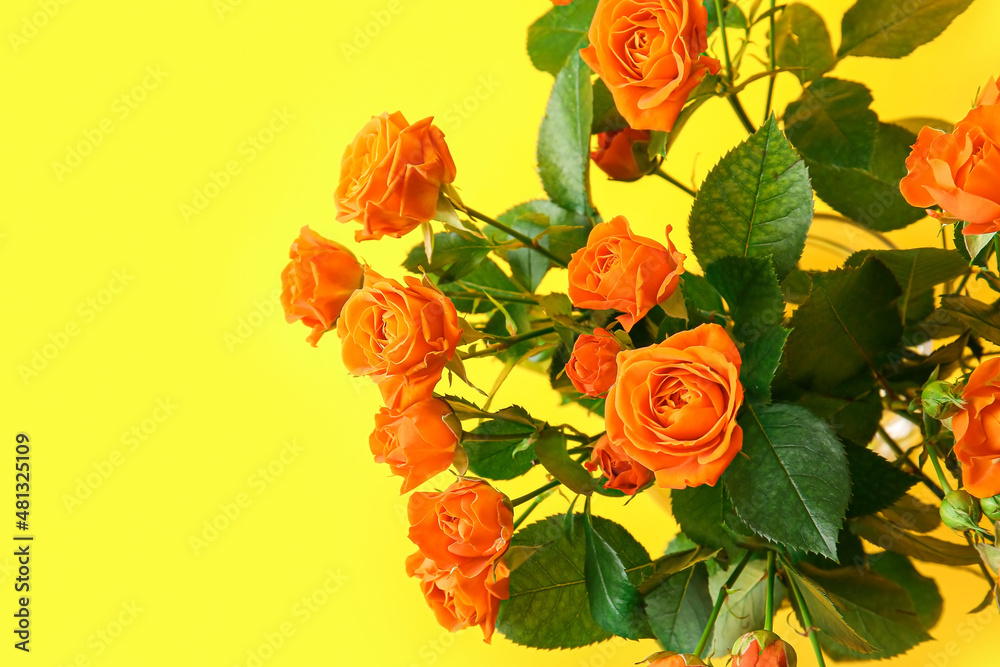 Bouquet of beautiful orange roses on yellow background