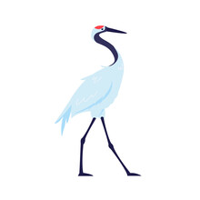 Japanese Red Crowned Crane Bird Isolated Flat Vector Illustration. Asian Wildlife Creature, Stork, Egret, Heron Design Element.