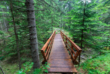 Wooden Footbridge On Trail In Nature Park For Trekking.