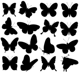 Wall Mural - butterfly set, silhouette, white background, vector